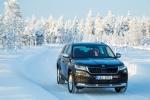Skoda Kodiaq Scout 2017 года (WW)